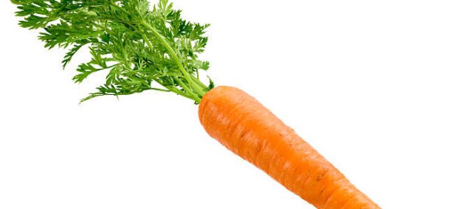 EYE ON THE NEWS CBC Headline: Vegan is the New Kosher